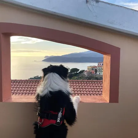 Soprana By Agenzia Solturelba Apartman *