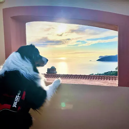 Soprana By Agenzia Solturelba Apartament