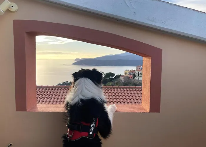 Soprana By Agenzia Solturelba Apartament *