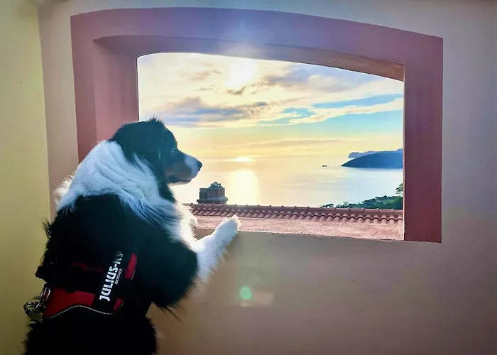 Soprana By Agenzia Solturelba Apartament